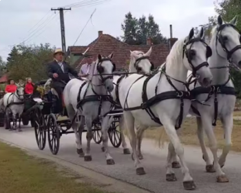 SZÜRETI FELVONULÁS (2023)