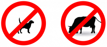 Ebzárlat és legeltetési tilalom elrendelése