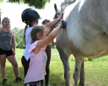 LOVASTÁBORT SZERVEZTEK A GYEREKEKNEK