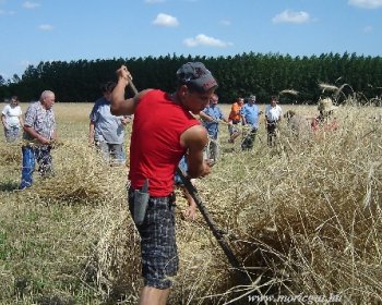 2010-07-10 - arato